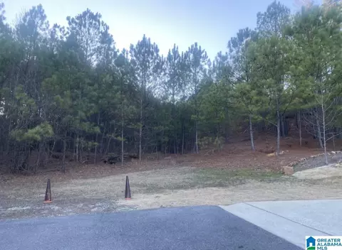 495 Scenic View Ln #15A, Birmingham, AL 35244