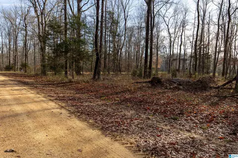 0 River Oaks Landing Cir #40, Orrville, AL 36767