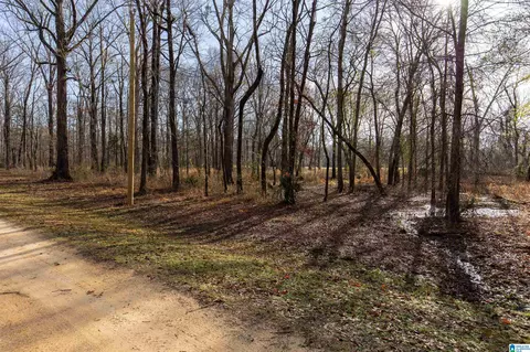 0 River Oaks Landing Cir #41, Orrville, AL 36767