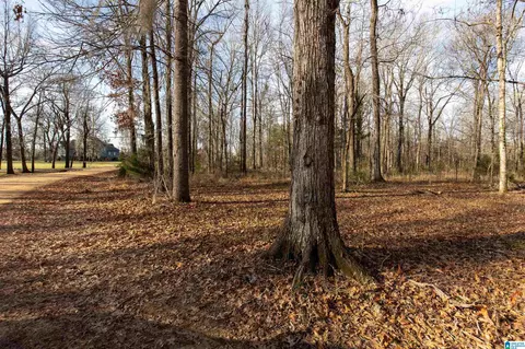 0 River Oaks Landing Cir #45, Orrville, AL 36767