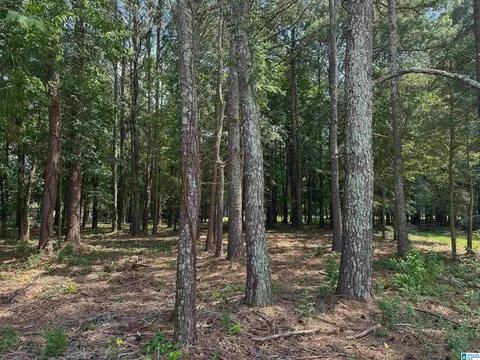 0 Carrie Ct SW #68, Jacksonville, AL 36265