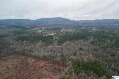 0 Highway 49 #0, Lineville, AL 36266