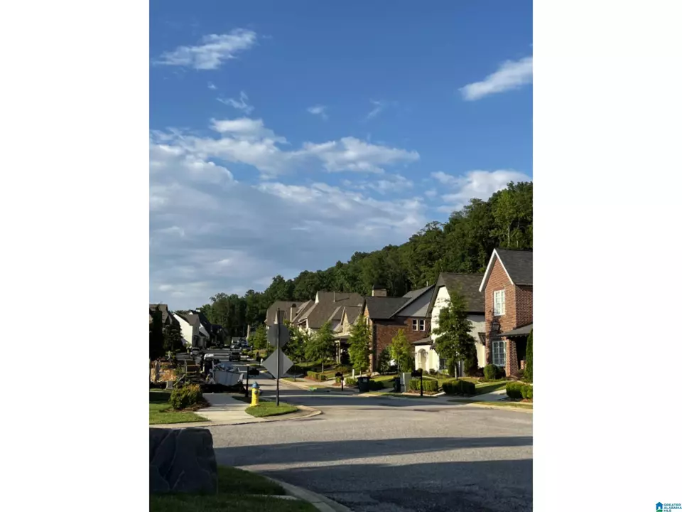 View/Area - 4702 Mcgill Ct, Hoover, AL 35226 photo 2 of 2