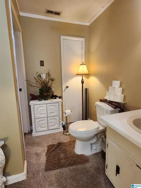 39 Mcnabb Rd, Ohatchee, AL 36271 photo 18