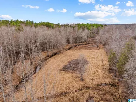 2885 Mckay Rd, Delta, AL 36258 photo 50