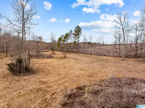 2885 Mckay Rd, Delta, AL 36258 photo 47