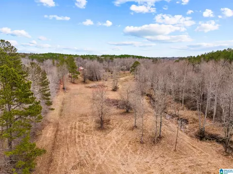 2885 Mckay Rd, Delta, AL 36258 photo 51