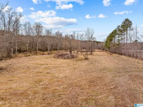 2885 Mckay Rd, Delta, AL 36258 photo 48