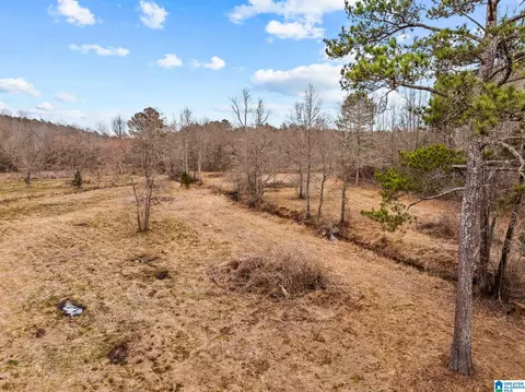 2885 Mckay Rd, Delta, AL 36258 photo 49