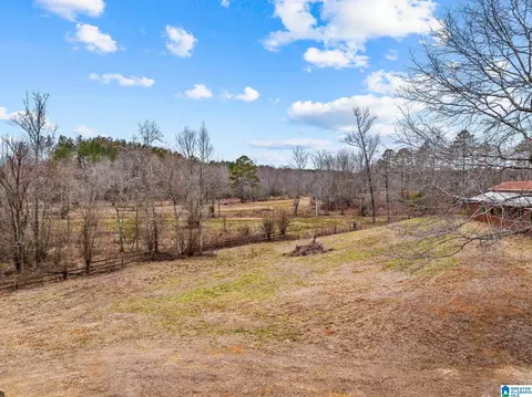 2885 Mckay Rd, Delta, AL 36258 photo 56