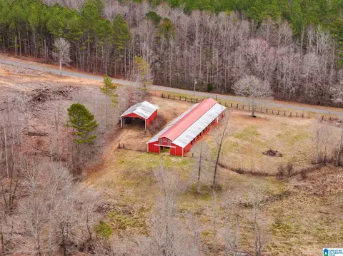 2885 Mckay Rd, Delta, AL 36258 photo 5