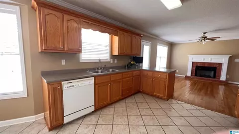 902 Ridgeway Dr, Oneonta, AL 35121 photo 8