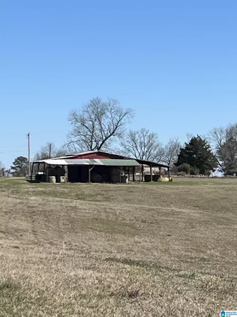 6206 County Road 53 #53 ACRES M/L, Clanton, AL 35045 photo 4