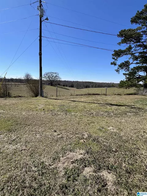 6206 County Road 53 #53 ACRES M/L, Clanton, AL 35045 photo 3
