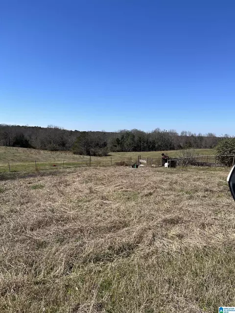 6206 County Road 53 #53 ACRES M/L, Clanton, AL 35045 photo 6