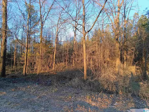 00 Zubers Rd #0, Sylacauga, AL 35150