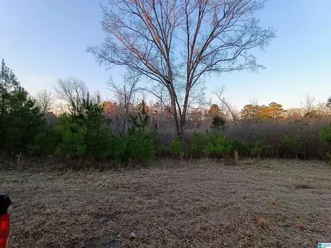 00 Comerdale Rd #00, Sylacauga, AL 35150