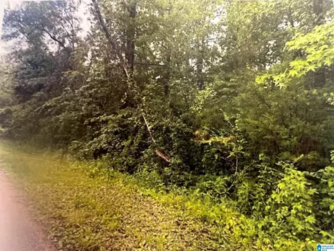 11 And 12 19th St #11 & 12, Calera, AL 35040