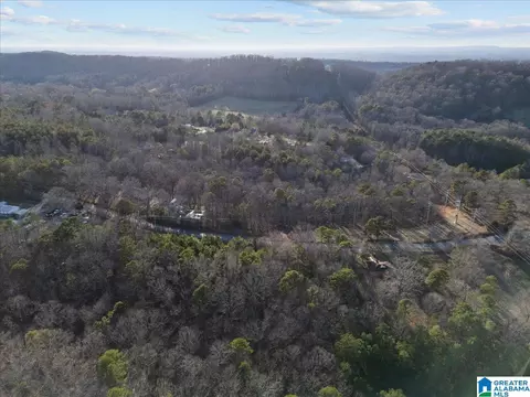 4751 Red Valley Rd, Remlap, AL 35133 photo 25