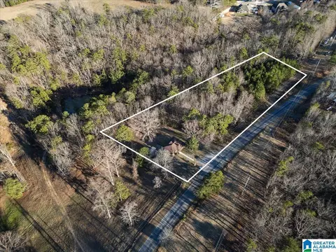 4751 Red Valley Rd, Remlap, AL 35133 photo 20