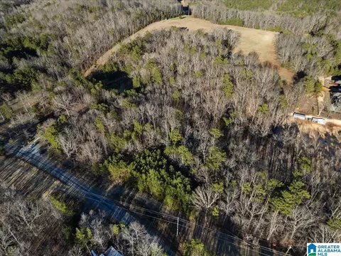 4751 Red Valley Rd, Remlap, AL 35133 photo 21