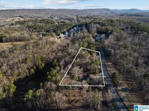 4751 Red Valley Rd, Remlap, AL 35133 photo 24