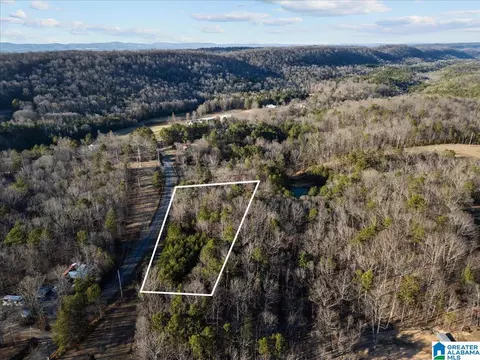 4751 Red Valley Rd, Remlap, AL 35133 photo 23