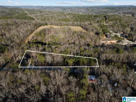4751 Red Valley Rd, Remlap, AL 35133 photo 17