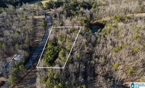 4751 Red Valley Rd, Remlap, AL 35133 photo 22