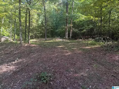 0 Valley Cir #579, Warrior, AL 35180