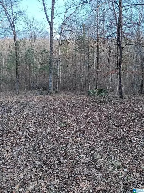 0 Valley Cir #580, Warrior, AL 35180