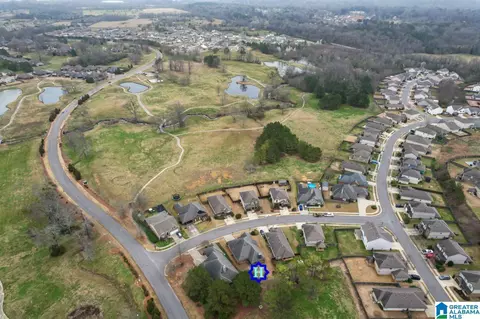12686 Browne Way, Mc Calla, AL 35111 photo 11