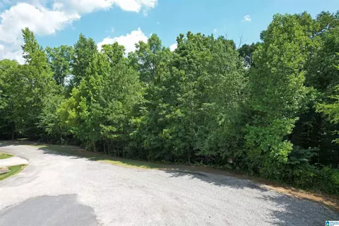 0 Weatherton Trl #4, Harpersville, AL 35078