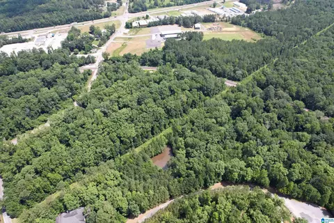 0 Weatherton Trl #2, Harpersville, AL 35078