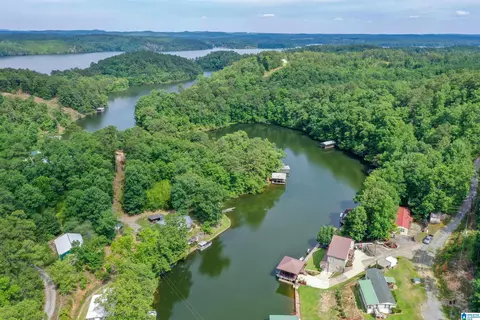 296 County Road 186, Clanton, AL 35046 photo 66