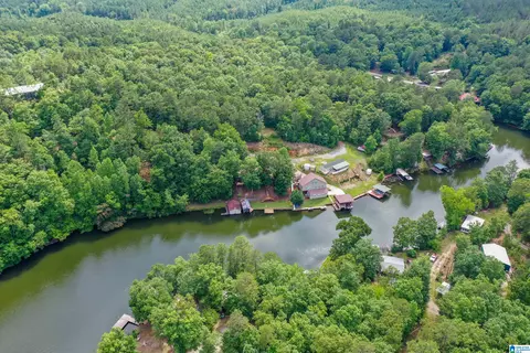 296 County Road 186, Clanton, AL 35046 photo 60