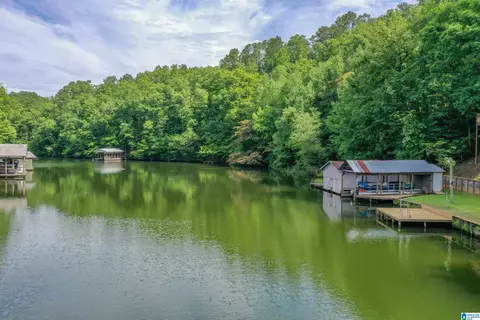 296 County Road 186, Clanton, AL 35046 photo 71