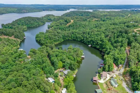 296 County Road 186, Clanton, AL 35046 photo 57