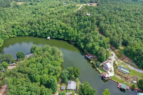 296 County Road 186, Clanton, AL 35046 photo 62