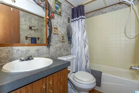 296 County Road 186, Clanton, AL 35046 photo 48