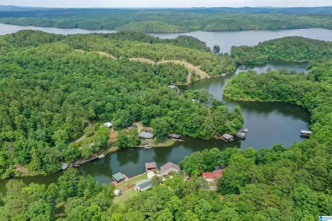 296 County Road 186, Clanton, AL 35046 photo 58