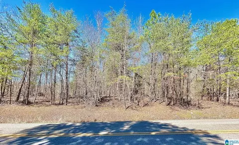 1786 Warrior Trafford Rd #0, Warrior, AL 35180