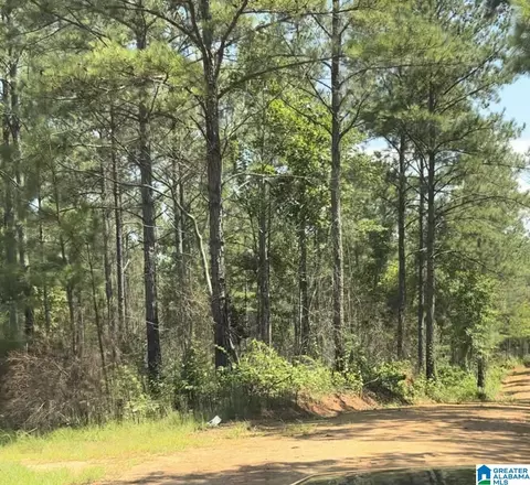 county road 831 #TRACT 1 20± AC, Wadley, AL 36276