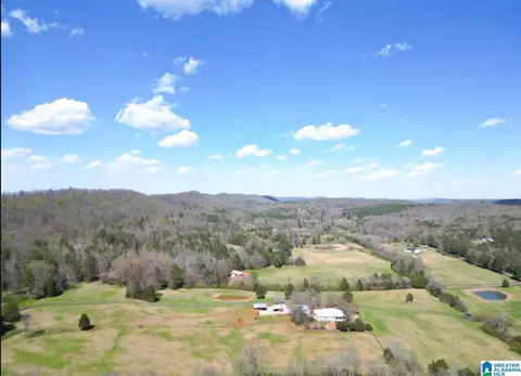 1931 Red Valley Rd, Remlap, AL 35133 photo 2