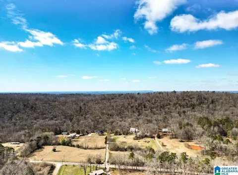 1931 Red Valley Rd, Remlap, AL 35133 photo 5