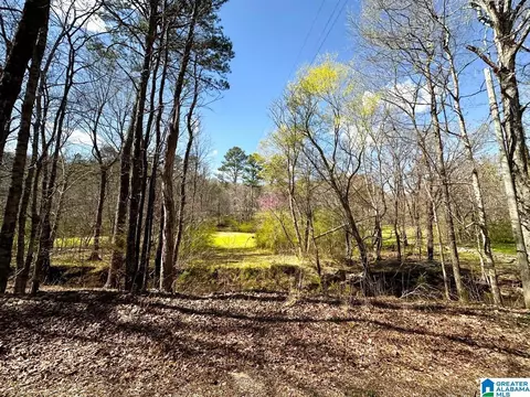 1931 Red Valley Rd, Remlap, AL 35133 photo 12