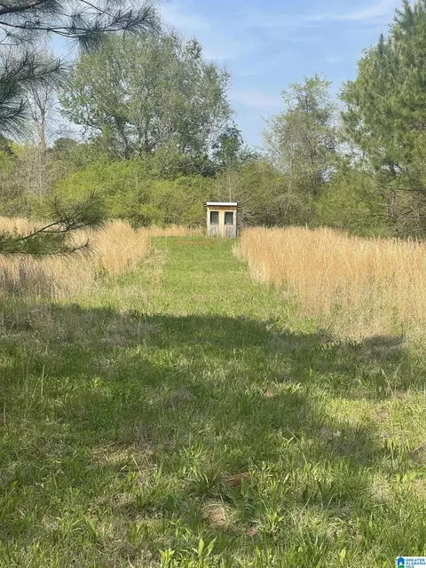1931 Red Valley Rd, Remlap, AL 35133 photo 15