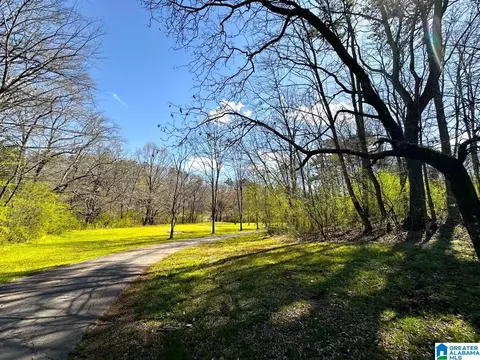 1931 Red Valley Rd, Remlap, AL 35133 photo 9