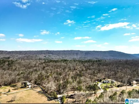1931 Red Valley Rd, Remlap, AL 35133 photo 4