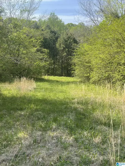 1931 Red Valley Rd, Remlap, AL 35133 photo 8